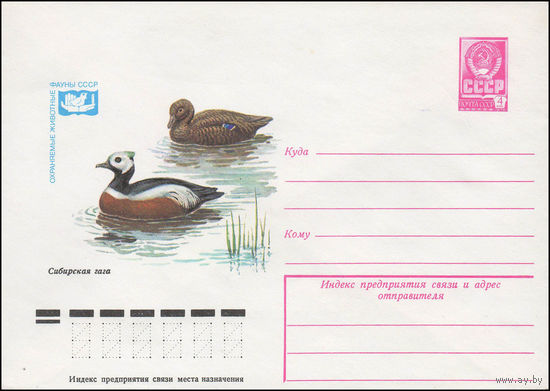 Художественный маркированный конверт СССР N 13176 (28.11.1978) Охраняемые животные фауны СССР  Сибирская гага