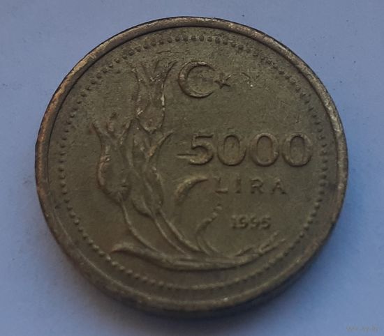 Турция 5.000 лир, 1995 (1-8-108)