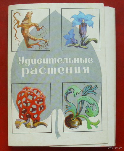" Удивительные растения ". Набор открыток 1989 года. ( 32 шт. ) 122.