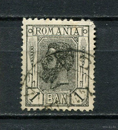 Королевство Румыния - 1900/1911 - Король Кароль I 1B - (есть тонкое место) - [Mi.129] - 1 марка. Гашеная.  (LOT DX32)-T10P29