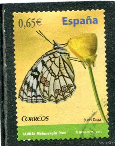 Испания. Фауна. Бабочка