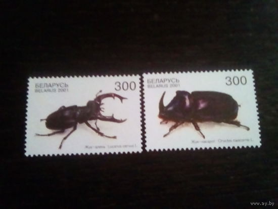 Беларусь 2001 жуки