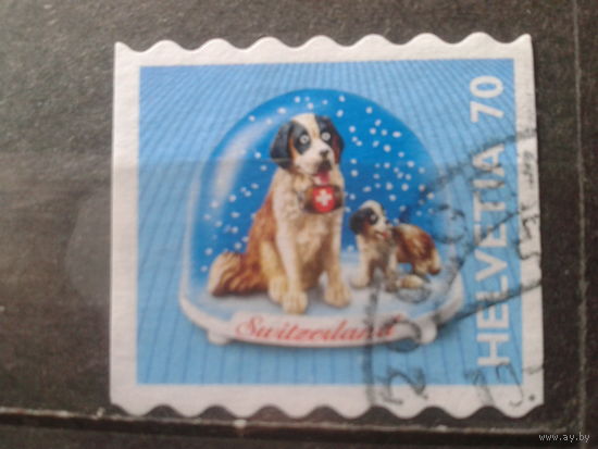 Швейцария 2001 Стандарт, собаки, сувенир из Швейцарии, самоклейка