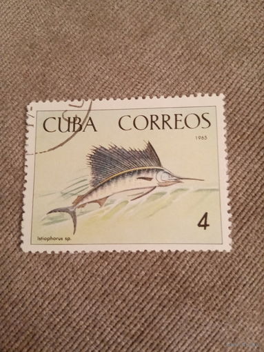 Куба 1965. Рыбы. Istiophorus