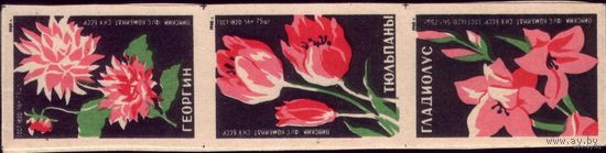9 этикеток 1960 год Цветы Пинск