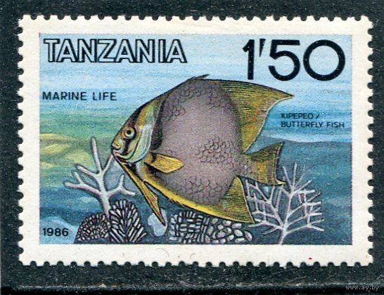 Танзания. Рыбы - бабочка