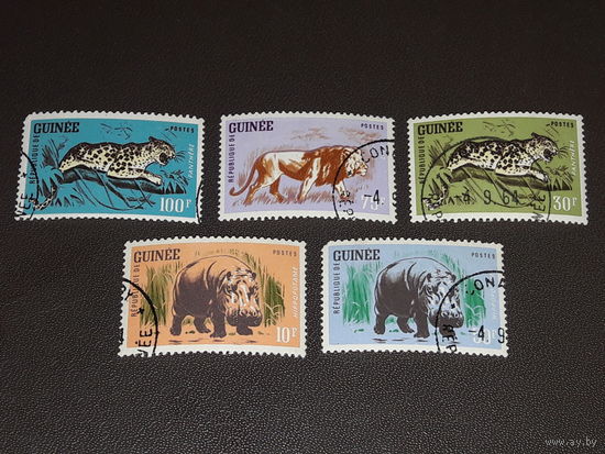 Гвинея 1964 Фауна Африки. 5 марок