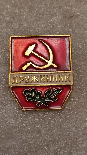 Знак значек Дружинник СССР,200 лотов с 1 рубля,5 дней!