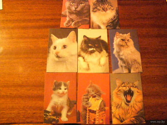 Календари 1990 г. Коты