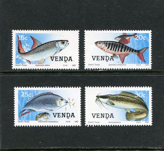 ЮАР. Венда. Рыбы южных морей