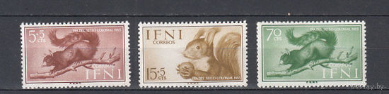 Фауна. Белки. Ифни. 1955. 3 марки. Michel N 154-156 (2,0 е).