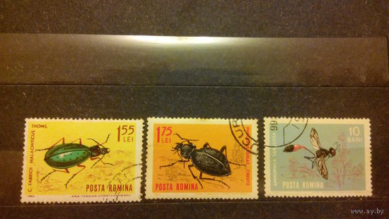 Жуки, насекомые, фауна, марки, Румыния, 1964