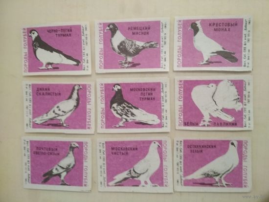 Спичечные этикетки ф.Байкал. Породы голубей. 1965 год