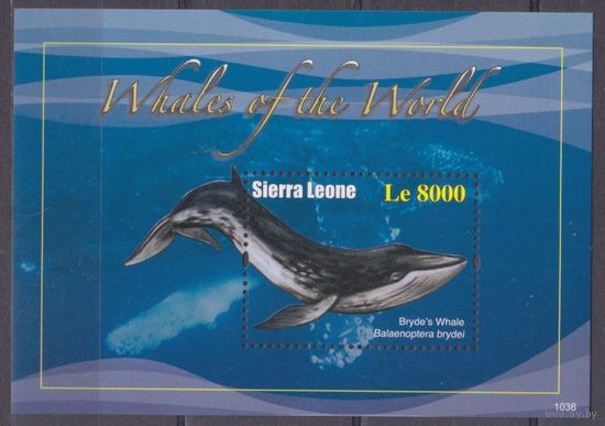 2011 Сьерра-Леоне 5432/B654 Морская фауна/Киты