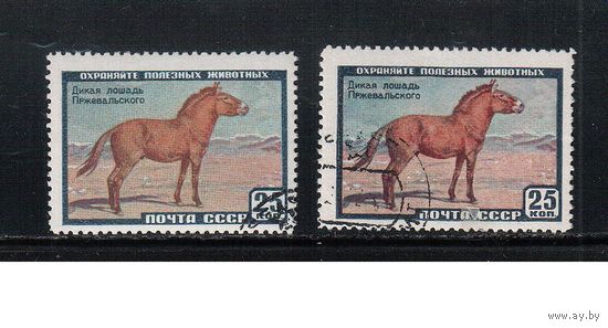 СССР-1959, (Заг.2240),   гаш.  (с клеем) , Фауна, Лошадь Пржевальского, оттенки цвета(1)