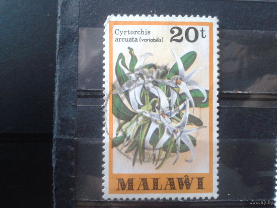 Малави 1979 Орхидеи