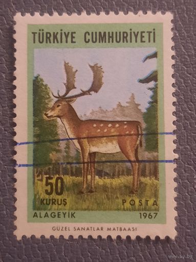 Турция 1967. Фауна. Благородный олень