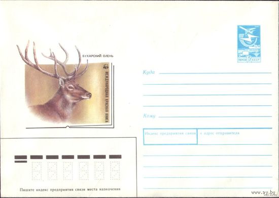 1988 год ХМК А.Исаков Бухарский олень