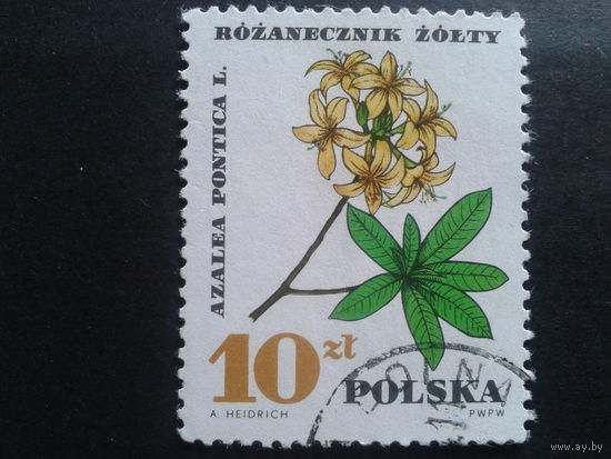 Польша 1967 цветы