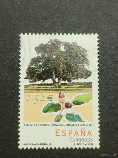 Испания 2004. Монументальные деревья. Полная серия
