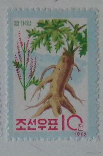 Овощные растения.  Северная Корея. Дата выпуска: 1962-11-30