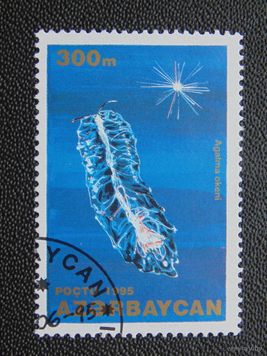 Азербайджан 1995 г. Морская фауна.