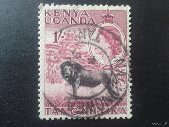 Кения Уганда Танганьика 1954 лев