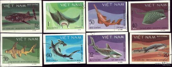 8 марок 1980 год Вьетнам Акулы Беззубцовки
