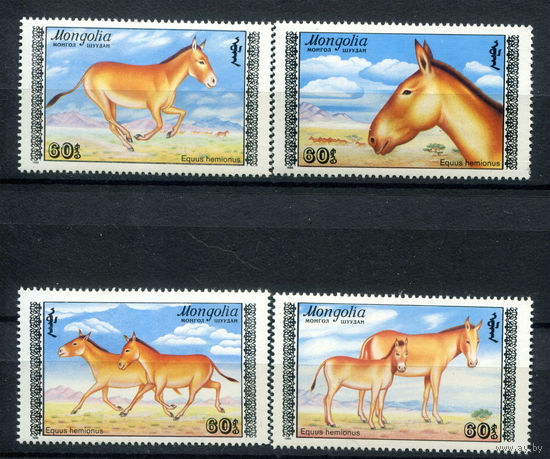 Монголия - 1988г. - Кулан, джигетай. Лошади - полная серия, MNH [Mi 1995-1998] - 4 марки