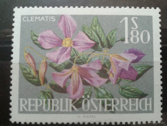 Австрия 1964 Клематисы**