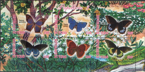 Бабочки (2-3). МЛ**