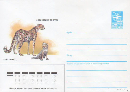 Художественный маркированный конверт СССР N 85-42 (29.01.1985) Московский зоопарк  Гепард