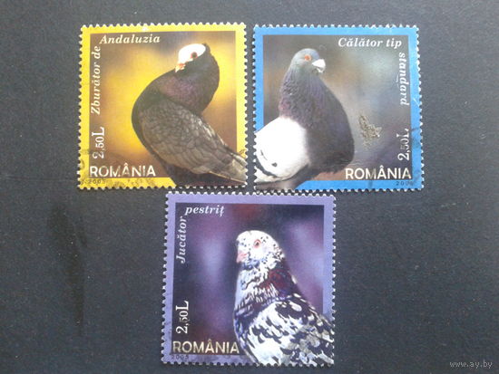 Румыния 2005 голуби, марки из блока