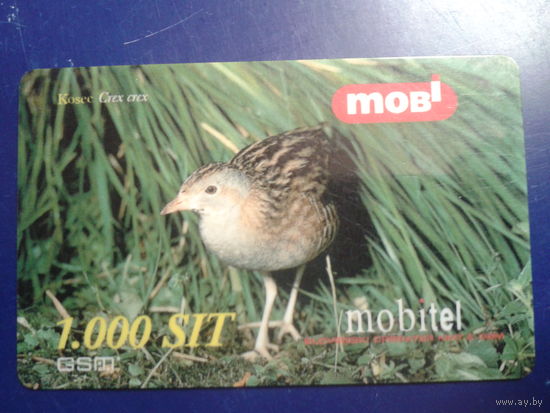 Словения 2001 птица
