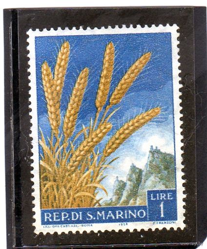 Сан Марино. Mi:SM 594. Колосья зерна (Triticum aestivum) Серия: Фрукты и сельскохозяйственные продукты. 1958.