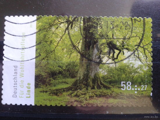 Германия 2013 Дерево Михель-1,7 евро гаш