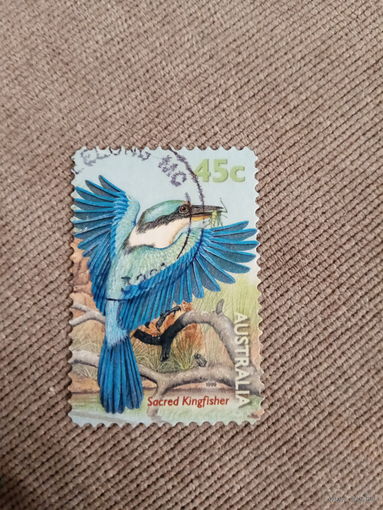 Австралия 1999. Socred kingfisher