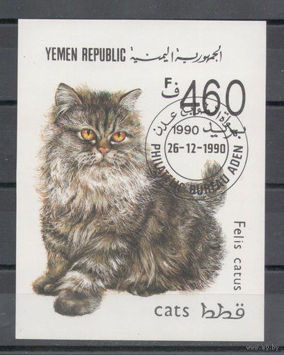 Йемен.1990.Кошки (блок)
