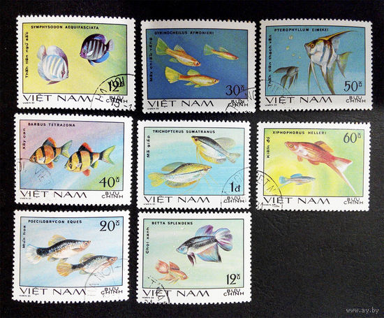 Вьетнам 1980 г. Аквариумные рыбки. Фауна, полная серия из 8 марок #0228-Ф1P52