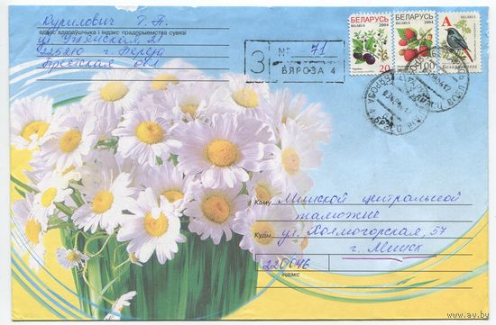 2006. Конверт, прошедший почту "Ромашки" (размер 198x134 мм)