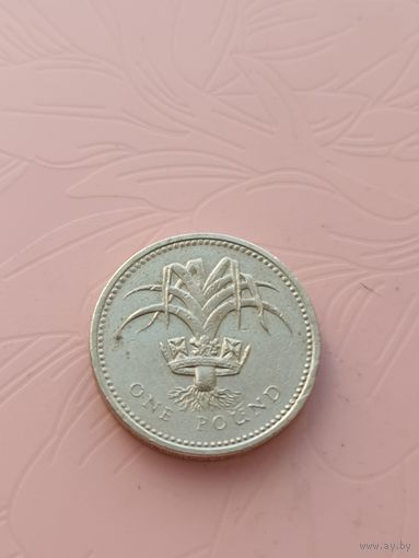 Великобритания 1 фунт 1990г(1)