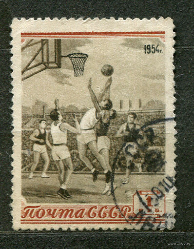 Спорт. Баскетбол. 1954