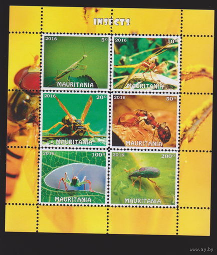 Насекомые жуки Фауна Мавритания 2016 год  лот 2034 Блок ЧИСТЫЙ