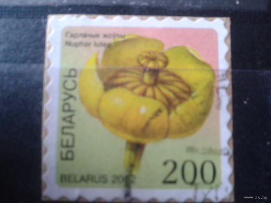 2002 Стандарт, цветок 200