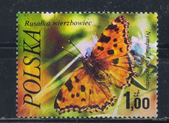 Польша ПНР 1977 Бабочка Многоцветница #2517