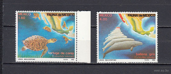 Фауна. Дельфины и черепахи. Мексика. 1982. 2 марки. Michel N 1828-1829 (4,5 е).