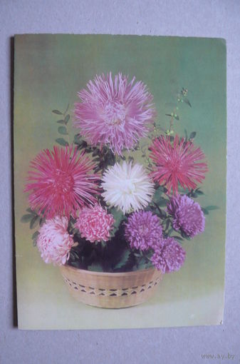 Круцко Б., Цветы; 1983, 1984, двойная, чистая.