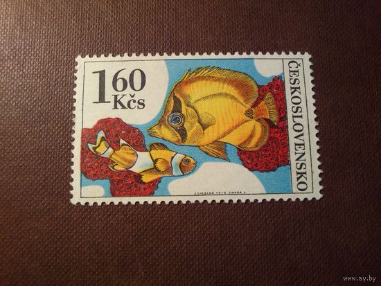 Чехославакия 1975 г.Аквариумные рыбки.Рыба-бабочка и оранжевая рыба-клоун./43а/