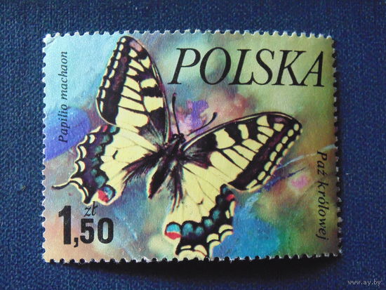 Польша. Бабочки.