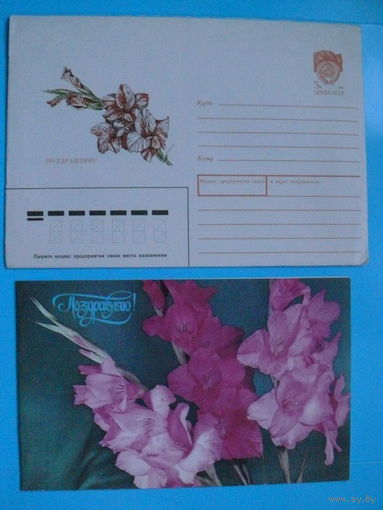 Комплект, Круцко Б.(фото), Ветцо Н.(оформление), Поздравляю! 1990, чистый; открытка двойная.